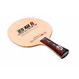 DHS Power G8 Offensive