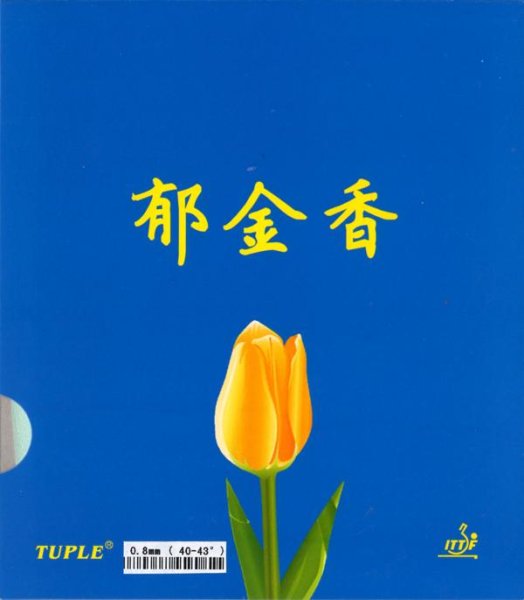 Tulpe Special Sponge Medium Density (40-43 degree)
