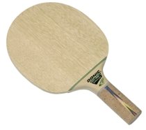 Donic Wang Xi Dotec Control plus