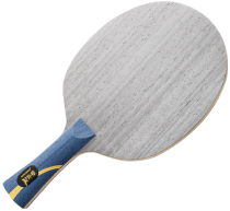 DHS Hurricane Hao II