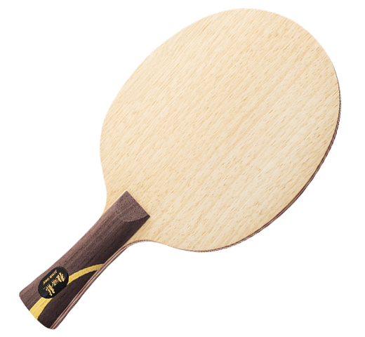 DHS Hurricane Long 2