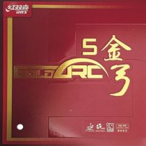 DHS Gold-ARC 5, 42.5 Degree