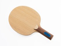 Dr Neubauer Grand Master